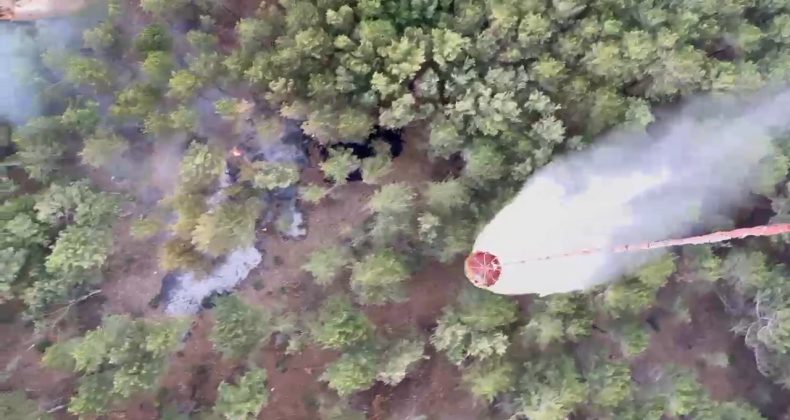 Kazdağları’ndaki orman yangını erken müdahaleyle büyümeden söndürüldü