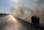 Burhaniye’de ot yangını söndürüldü
