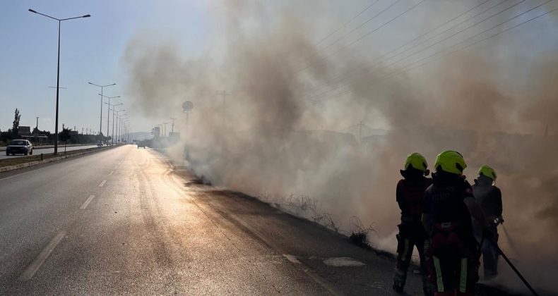 Burhaniye’de ot yangını söndürüldü