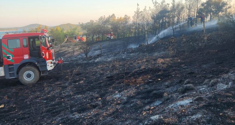 Cunda Adası’ndaki orman yangını büyümeden söndürüldü