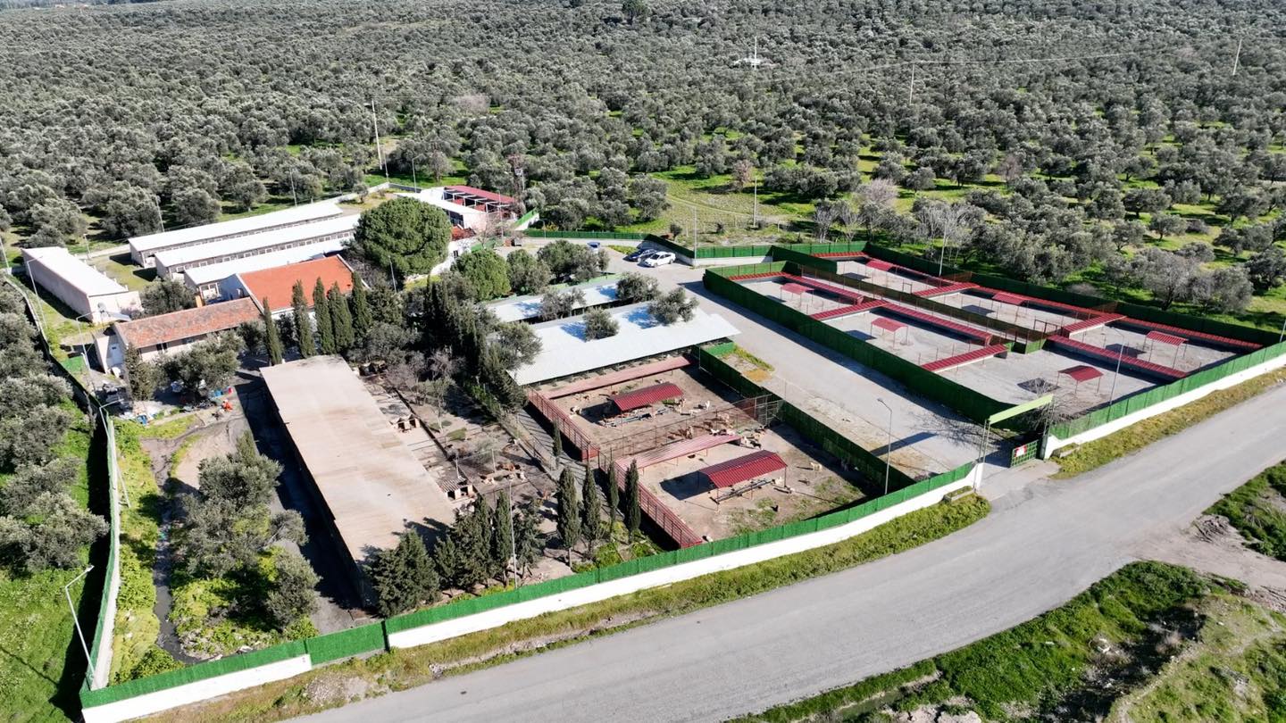 Burhaniye Belediyesi, can dostları sıcak yuvalarla buluşturuyor