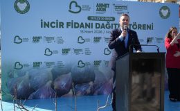 Çiftçilere 2 bin 500 incir fidanı dağıtıldı