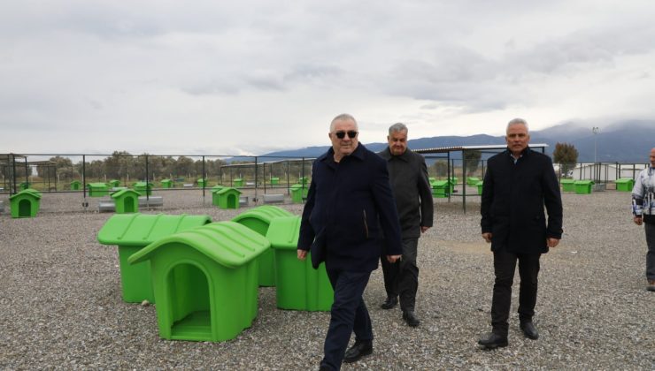 Edremit’te can dostlar için doğal yaşam alanı açılıyor