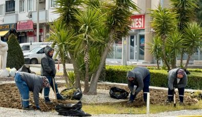 Burhaniye Belediyesi’nden yeşil alanlarda titiz çalışma