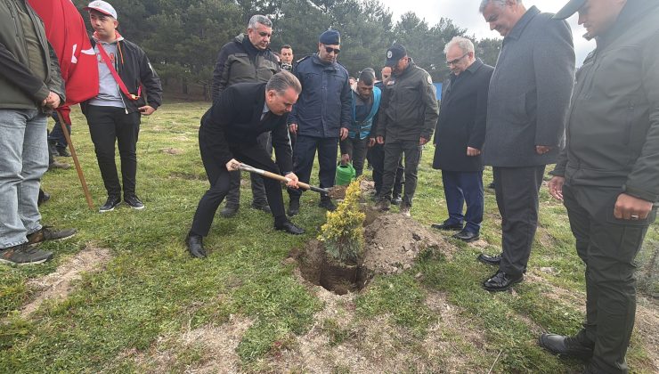 Fidanlar toprakla buluştu