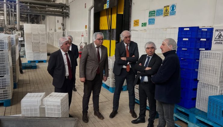 Tarımsal stratejide saha incelemesi