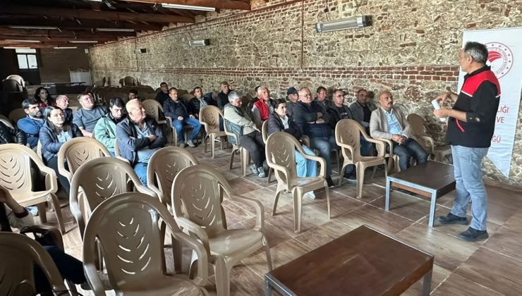 Körfez’de fidan üretimine sertifika neşteri