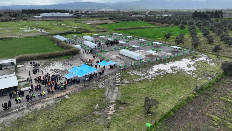 Edremit’te can dostlar doğal yaşam alanına kavuştu